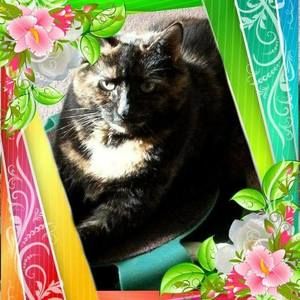 Meet your Posher, Maryann